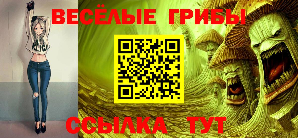 Псилоцибиновые грибы GOLDEN TEACHER  Вход с VPN  Карабулак  Псилоцибиновые грибы мухоморы 
